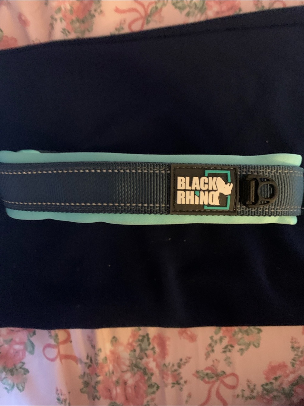 Teal & Navy Padded Dog Collar